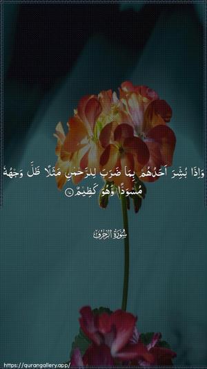 Az-Zukhruf Ayah 17 - Arabic wallpaper