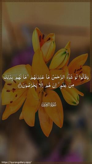 Az-Zukhruf Ayah 20 - Arabic wallpaper
