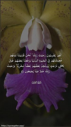 Az-Zukhruf Ayah 32 - Arabic wallpaper