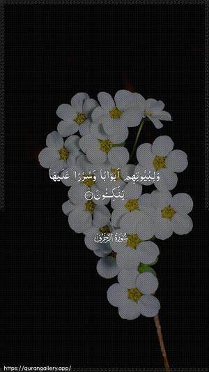 Az-Zukhruf Ayah 34 - Arabic wallpaper