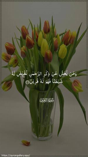 Az-Zukhruf Ayah 36 - Arabic wallpaper