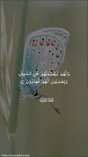 Az-Zukhruf Ayah 37 - Arabic wallpaper
