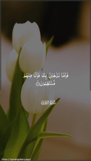 Az-Zukhruf Ayah 41 - Arabic wallpaper