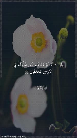 Az-Zukhruf Ayah 60 - Arabic wallpaper