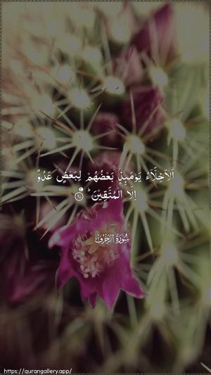 Az-Zukhruf Ayah 67 - Arabic wallpaper