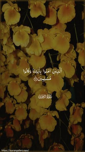Az-Zukhruf Ayah 69 - Arabic wallpaper