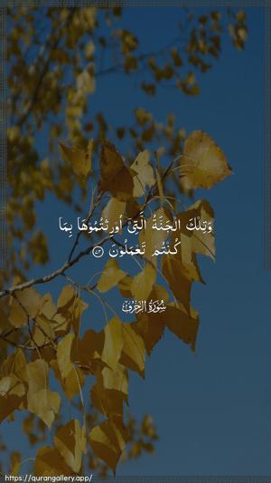 Az-Zukhruf Ayah 72 - Arabic wallpaper