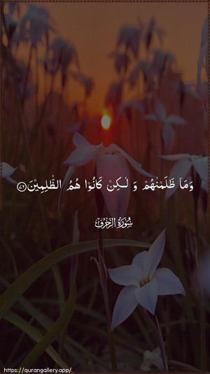 Az-Zukhruf Ayah 76 - Arabic wallpaper