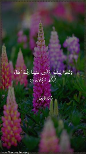Az-Zukhruf Ayah 77 - Arabic wallpaper