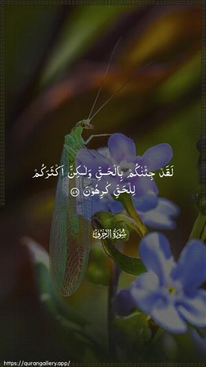 Az-Zukhruf Ayah 78 - Arabic wallpaper