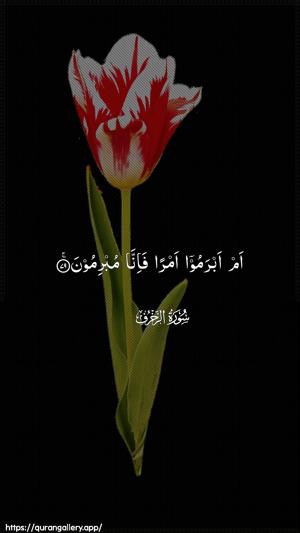Az-Zukhruf Ayah 79 - Arabic wallpaper