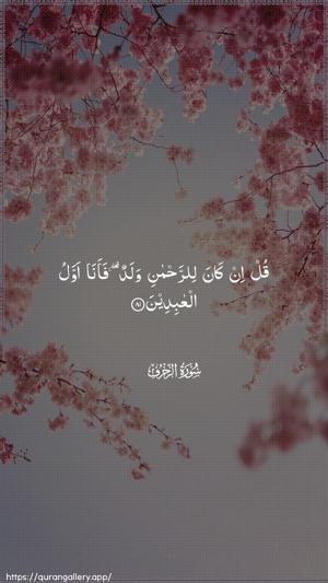 Az-Zukhruf Ayah 81 - Arabic wallpaper