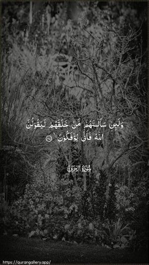 Az-Zukhruf Ayah 87 - Arabic wallpaper