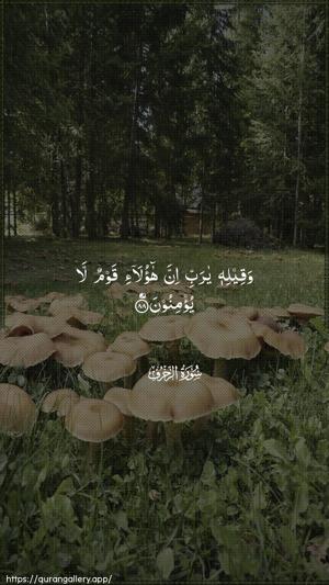 Az-Zukhruf Ayah 88 - Arabic wallpaper