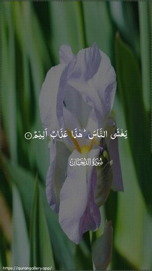 Ad-Dukhaan Ayah 11 - Arabic wallpaper