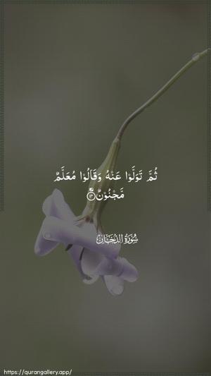 Ad-Dukhaan Ayah 14 - Arabic wallpaper