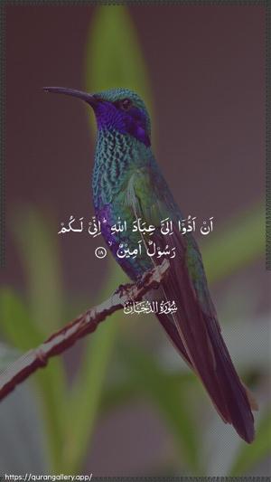 Ad-Dukhaan Ayah 18 - Arabic wallpaper