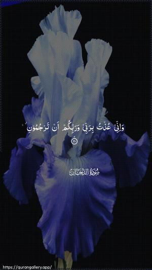 Ad-Dukhaan Ayah 20 - Arabic wallpaper