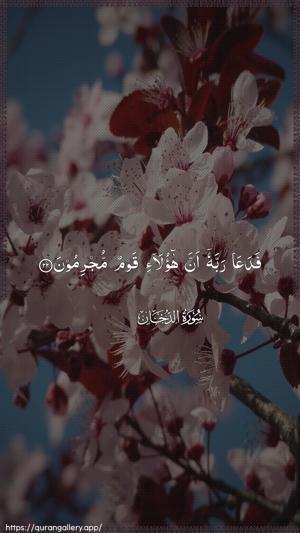 Ad-Dukhaan Ayah 22 - Arabic wallpaper