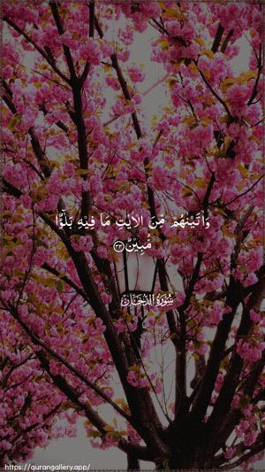 Ad-Dukhaan Ayah 33 - Arabic wallpaper
