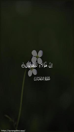 Ad-Dukhaan Ayah 34 - Arabic wallpaper