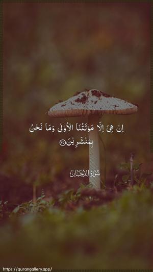 Ad-Dukhaan Ayah 35 - Arabic wallpaper