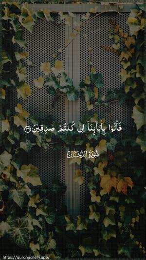 Ad-Dukhaan Ayah 36 - Arabic wallpaper