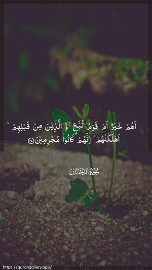 Ad-Dukhaan Ayah 37 - Arabic wallpaper
