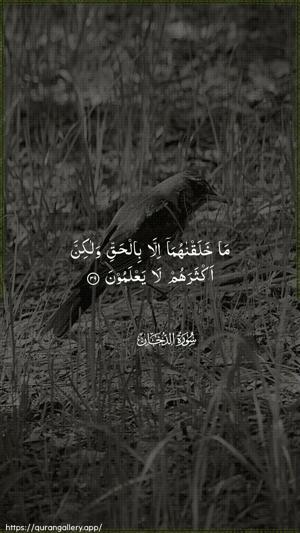Ad-Dukhaan Ayah 39 - Arabic wallpaper