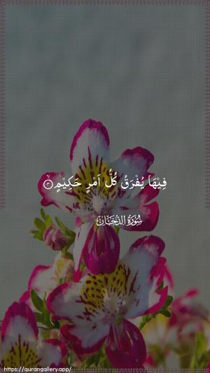 Ad-Dukhaan Ayah 4 - Arabic wallpaper