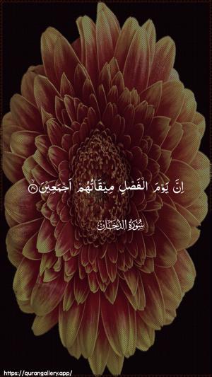 Ad-Dukhaan Ayah 40 - Arabic wallpaper