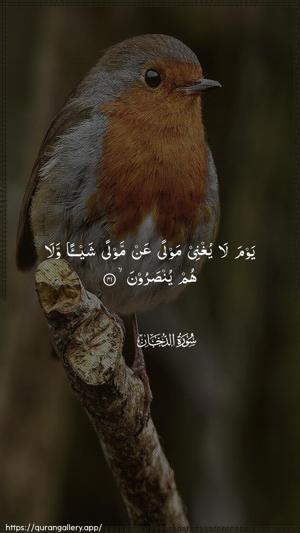 Ad-Dukhaan Ayah 41 - Arabic wallpaper