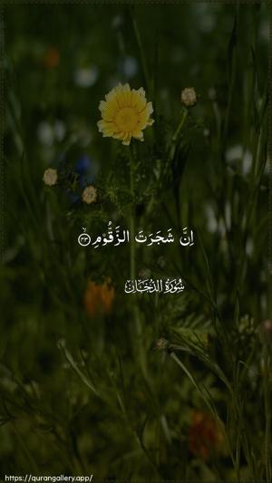 Ad-Dukhaan Ayah 43 - Arabic wallpaper