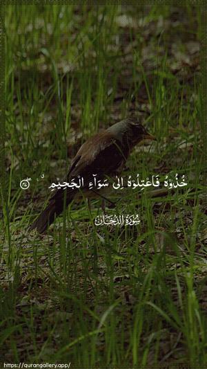 Ad-Dukhaan Ayah 47 - Arabic wallpaper
