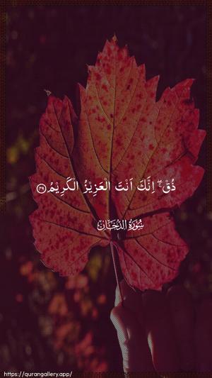 Ad-Dukhaan Ayah 49 - Arabic wallpaper