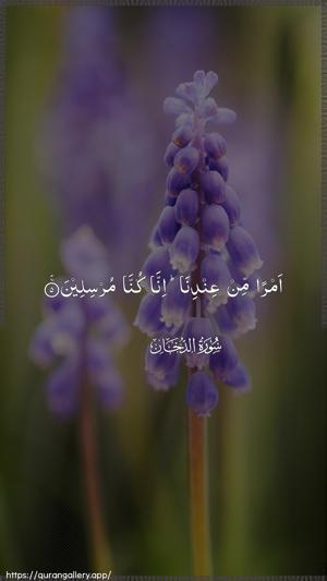 Ad-Dukhaan Ayah 5 - Arabic wallpaper
