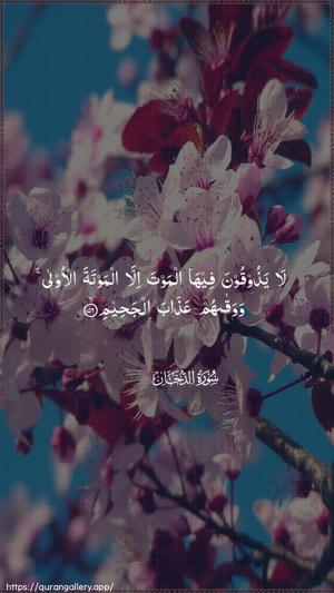 Ad-Dukhaan Ayah 56 - Arabic wallpaper
