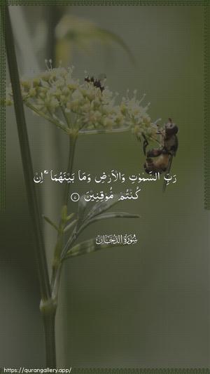 Ad-Dukhaan Ayah 7 - Arabic wallpaper