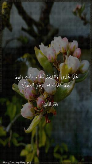 Al-Jaathiya Ayah 11 - Arabic wallpaper