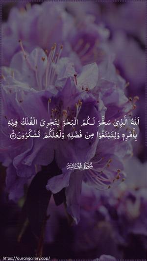 Al-Jaathiya Ayah 12 - Arabic wallpaper