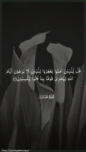 Al-Jaathiya Ayah 14 - Arabic wallpaper