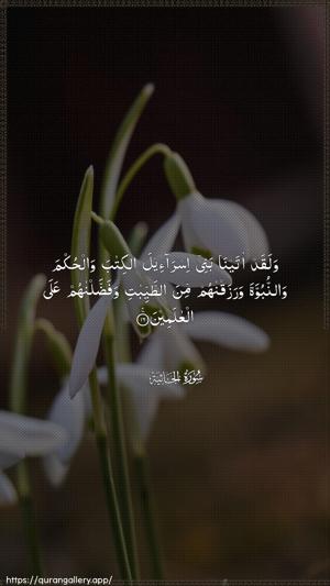 Al-Jaathiya Ayah 16 - Arabic wallpaper