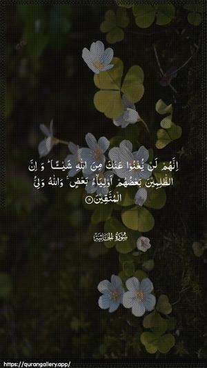 Al-Jaathiya Ayah 19 - Arabic wallpaper