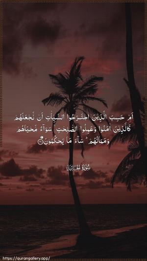 Al-Jaathiya Ayah 21 - Arabic wallpaper