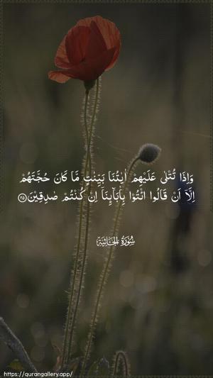 Al-Jaathiya Ayah 25 - Arabic wallpaper