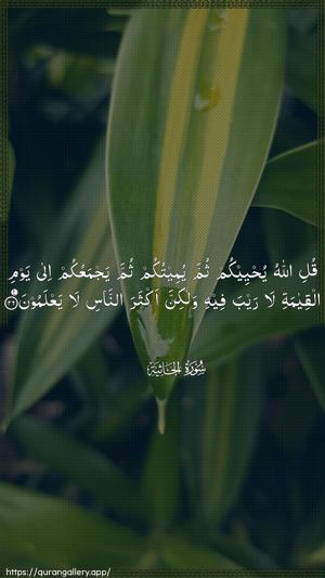 Al-Jaathiya Ayah 26 - Arabic wallpaper