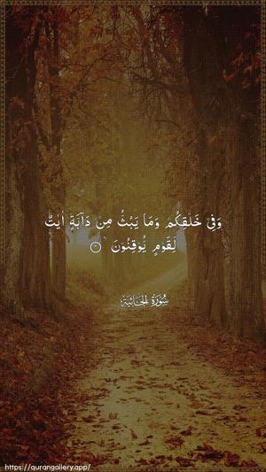 Al-Jaathiya Ayah 4 - Arabic wallpaper