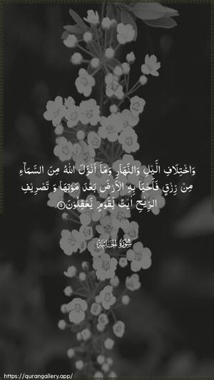 Al-Jaathiya Ayah 5 - Arabic wallpaper