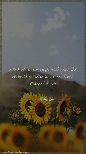 Al-Ahqaf Ayah 11 - Arabic wallpaper