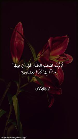 Al-Ahqaf Ayah 14 - Arabic wallpaper